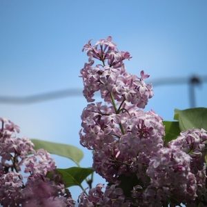 Meet your Posher, Cassie